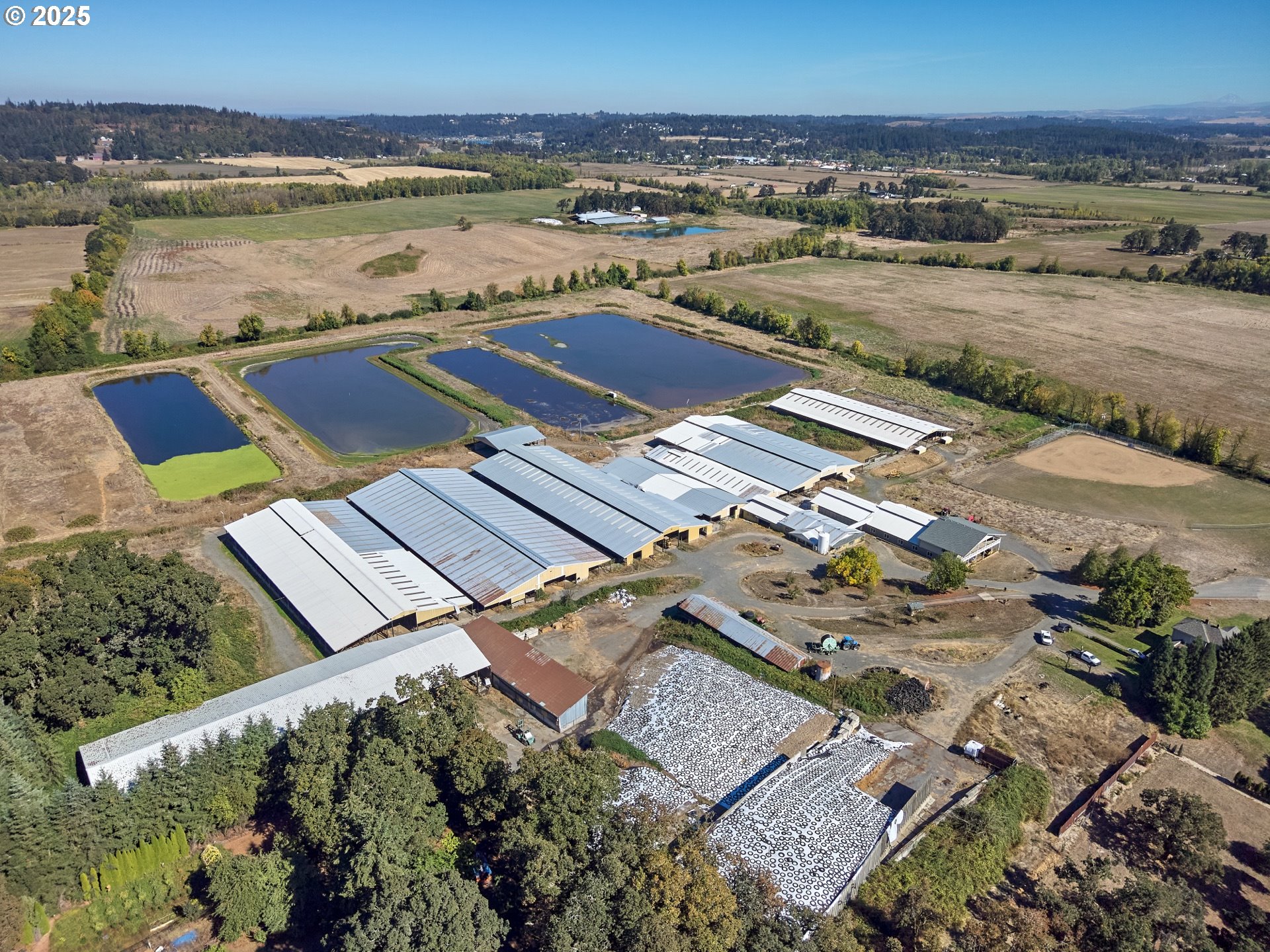 Multi Family Property