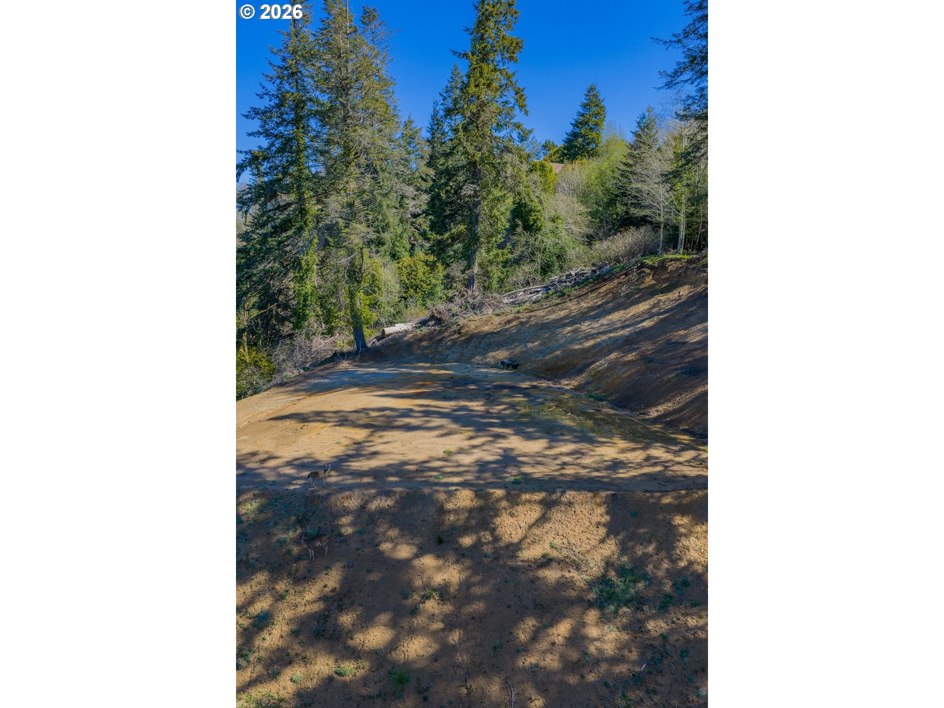 63539 Andrews RD, Coos Bay, OR, 97420