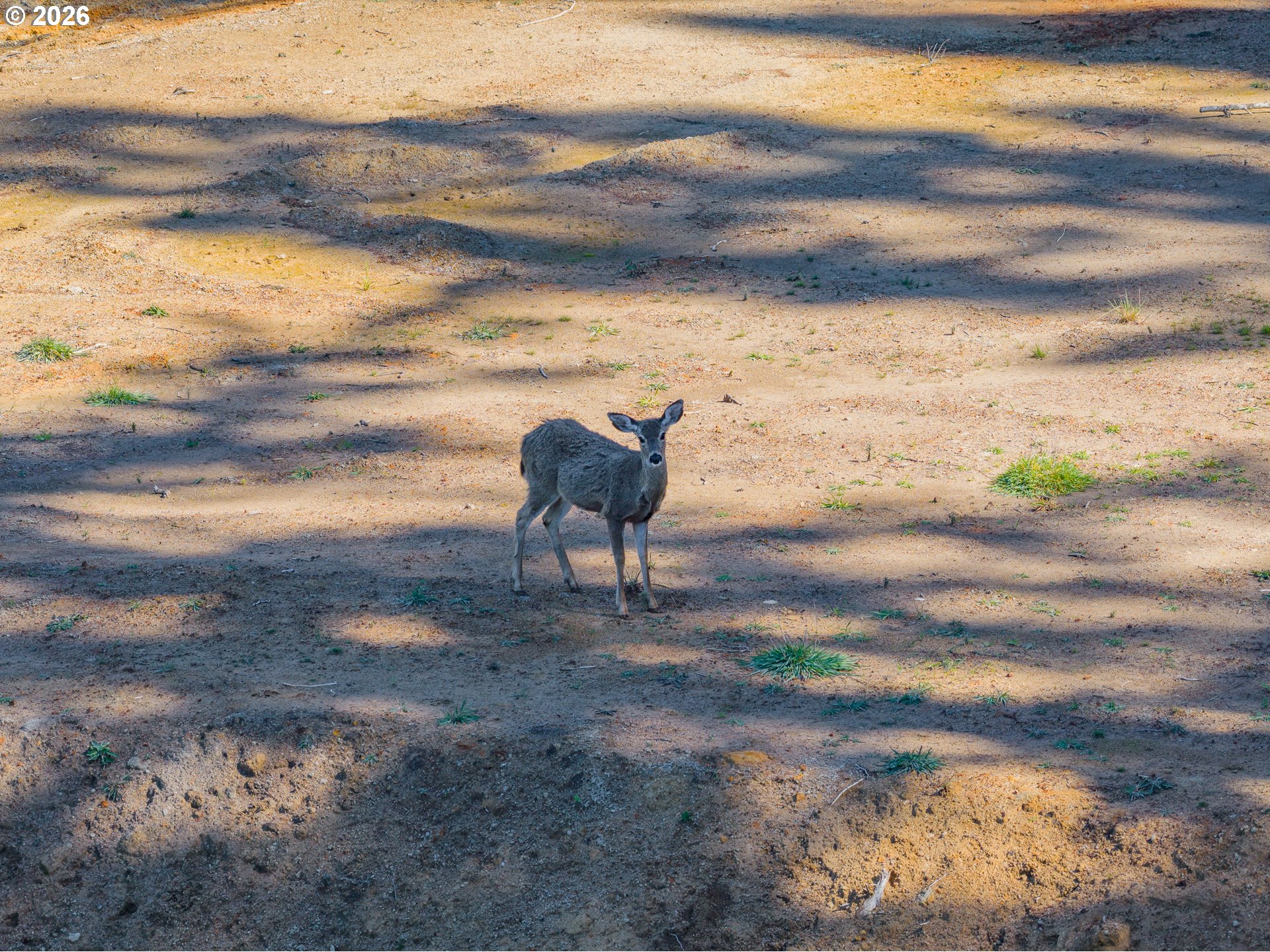 63539 Andrews RD, Coos Bay, OR, 97420