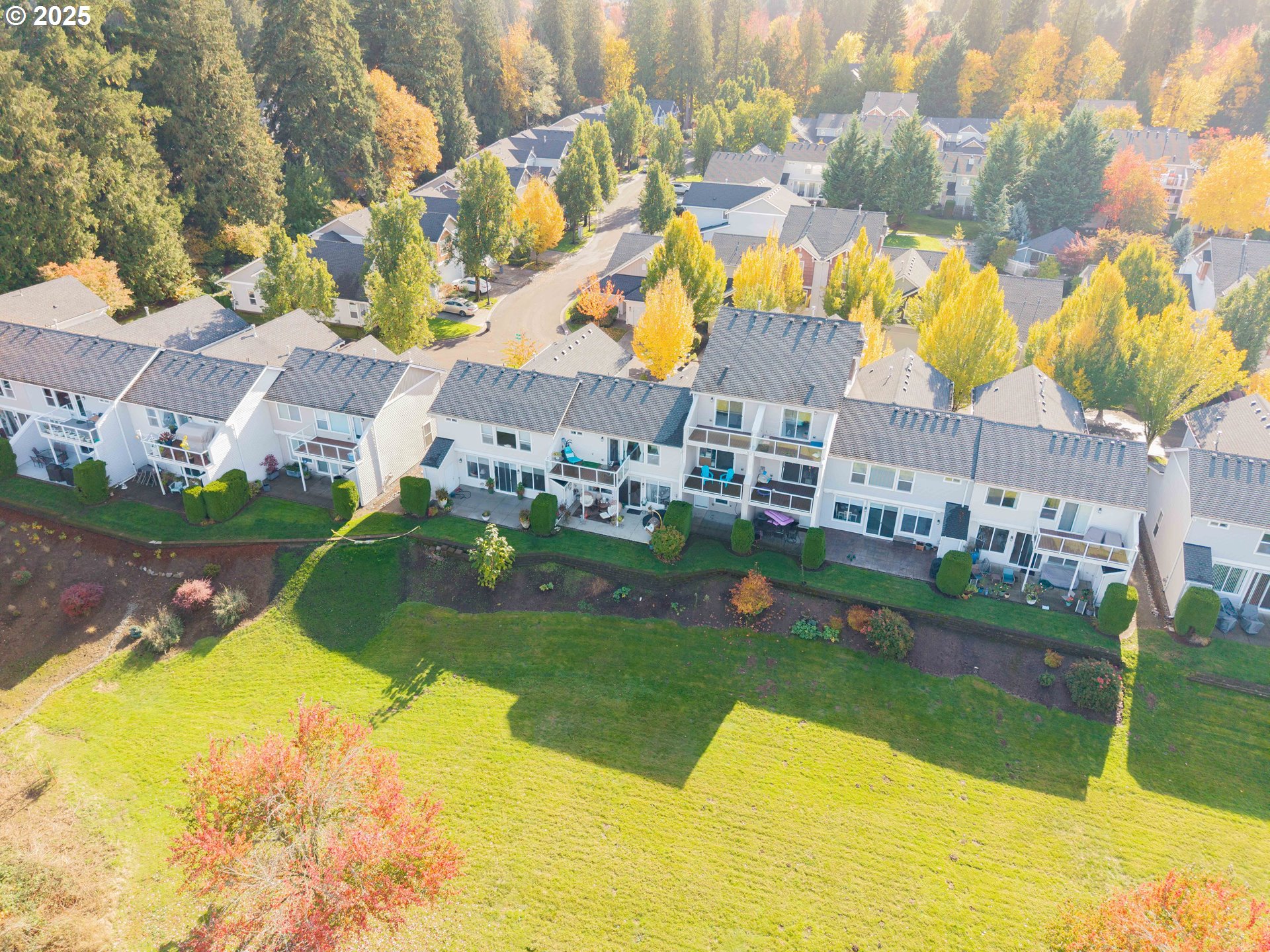 Photo #4: 794197282 Listing: Photo #4