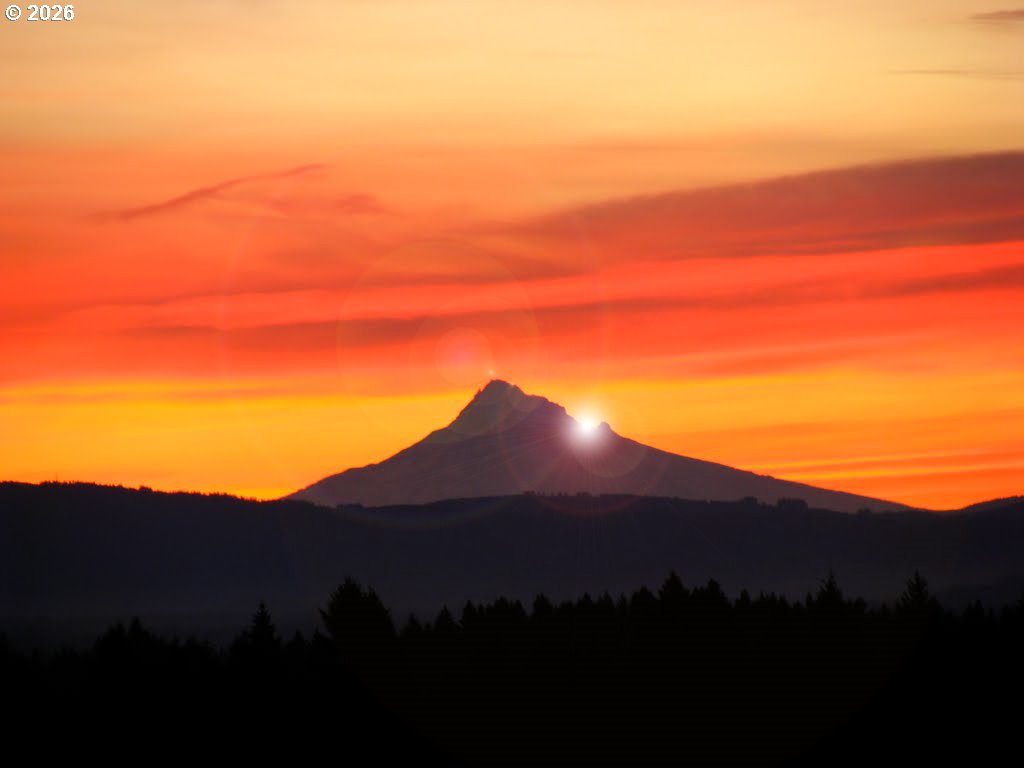 Photo #43: 797151351 Listing: Photo #43